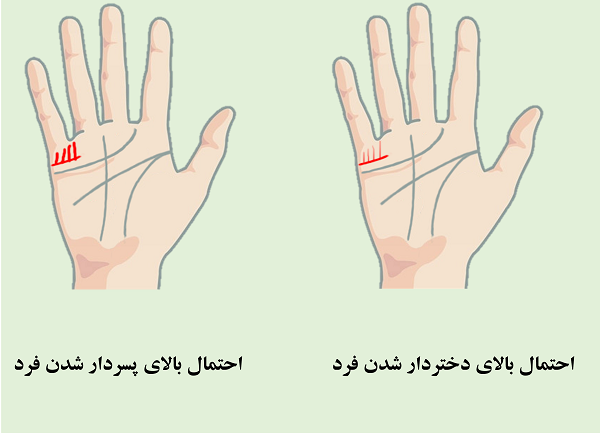 تعیین جنسیت با کف دست