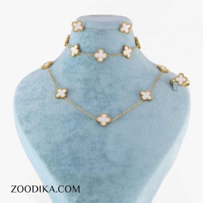 سرویس ونکلیف سفید خفن رنگ ثابت استیل