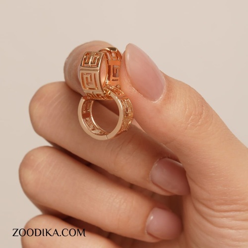 گوشواره حلقه ای زنانه ژوپینگ طرح ورساچه کد AAC-273