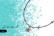 necklace-beach-min