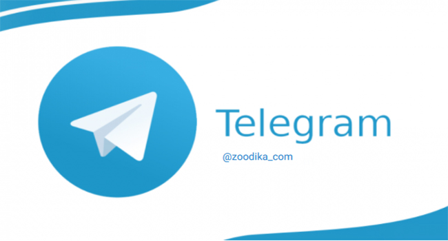 کانال تلگرام زودیکا